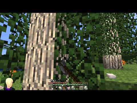 Minecraft WG S03-E012 - ( Hot, very Hot , Minecraft WG ) [Deutsch] -HD- [338]
