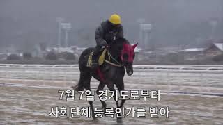 조교사협회 탄생부터 지금까지/협회가 탄생할수밖에 없었던 대내외적인 환경/(서울경마장 조교사협회 연혁)
