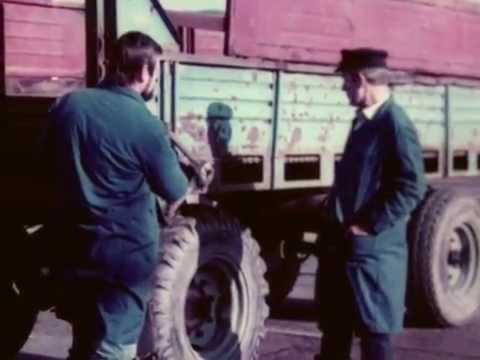 Tag für Tag - Milchviehanlage LPG Karl Marx Broderstorf   - DDR Dokumentarfilm