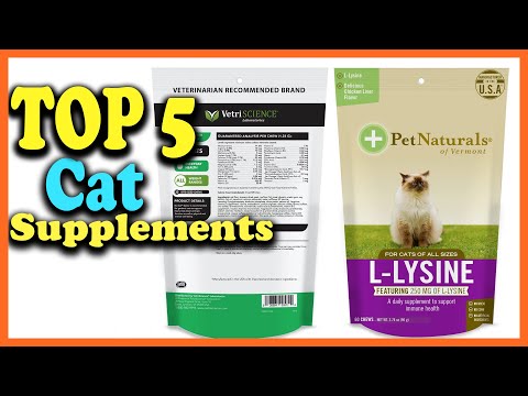 ✅Top 5 Best Cat Supplements of 2022