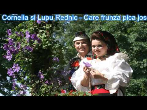 Cornelia si Lupu Rednic - Care frunza pica jos