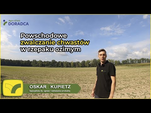 , title : 'Powschodowe zwalczanie chwastów w rzepaku ozimym – Agro-Efekt'