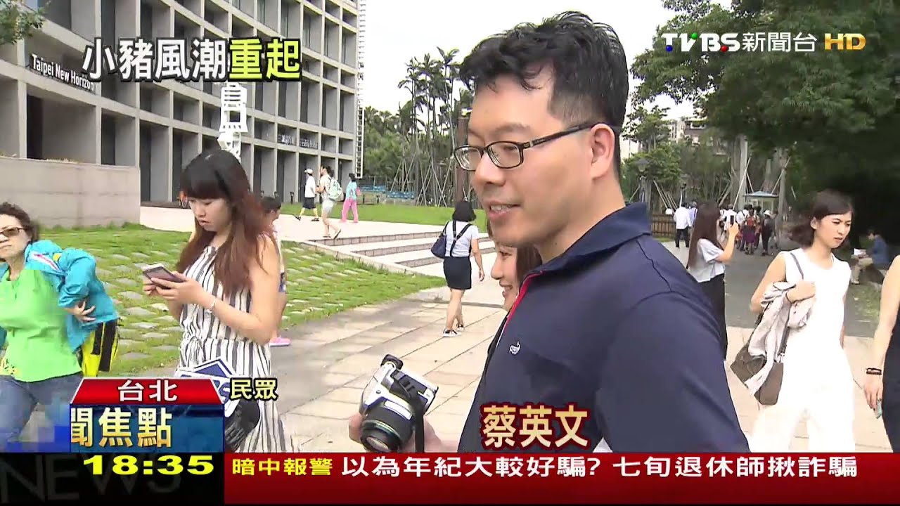 賣場挺蔡英文? 小豬撲滿擺入口顯眼處
