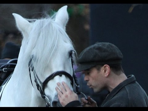 Foaling around! Colin Farrell gives his new co-star a kiss on set of Winter's Tale..