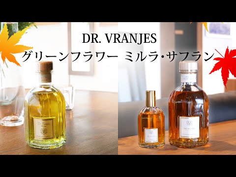 園芸 ラージワイルドチャービル、ムスクチャービル、パーペチュアルチャービル、フレグランスミルラ、ジャコウシダ