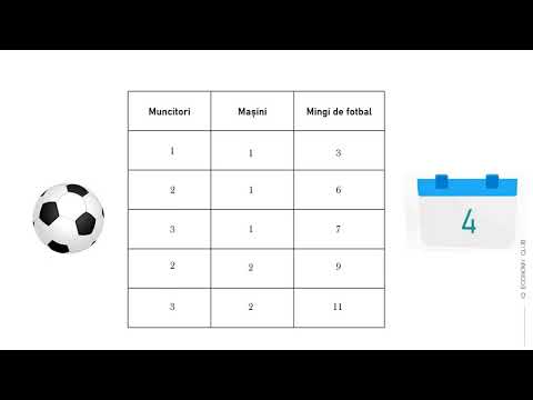 Teoria producatorului  - Factorii de productie