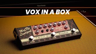 Tech 21 SansAmp Character Plus Series Mop Top Liverpool - What To