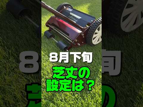 秋の芝生のメンテナンス: 芝生を傷める 7 つの間違いとその回避方法  庭園