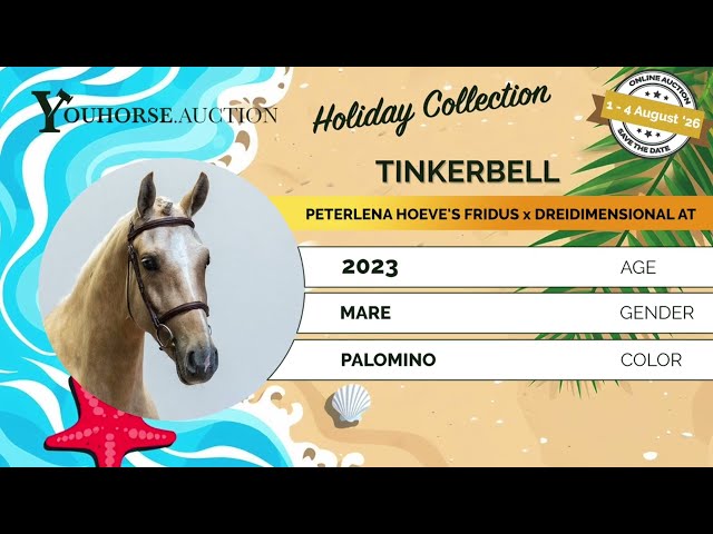 Tinkerbell impressionvideo