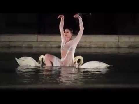 Lac des Cygnes ballet aquatique: Tokyo 2016 Marie Agnès Gillot