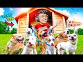 I OPENED NEW ANIMAL SHELTER Yeah Noob Gamer