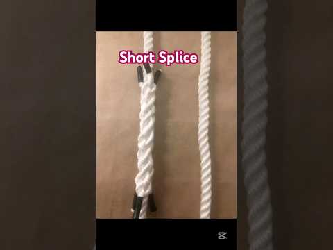How to tie a short splice 3-stand rope #how #shorts #knot #tutorial #diy