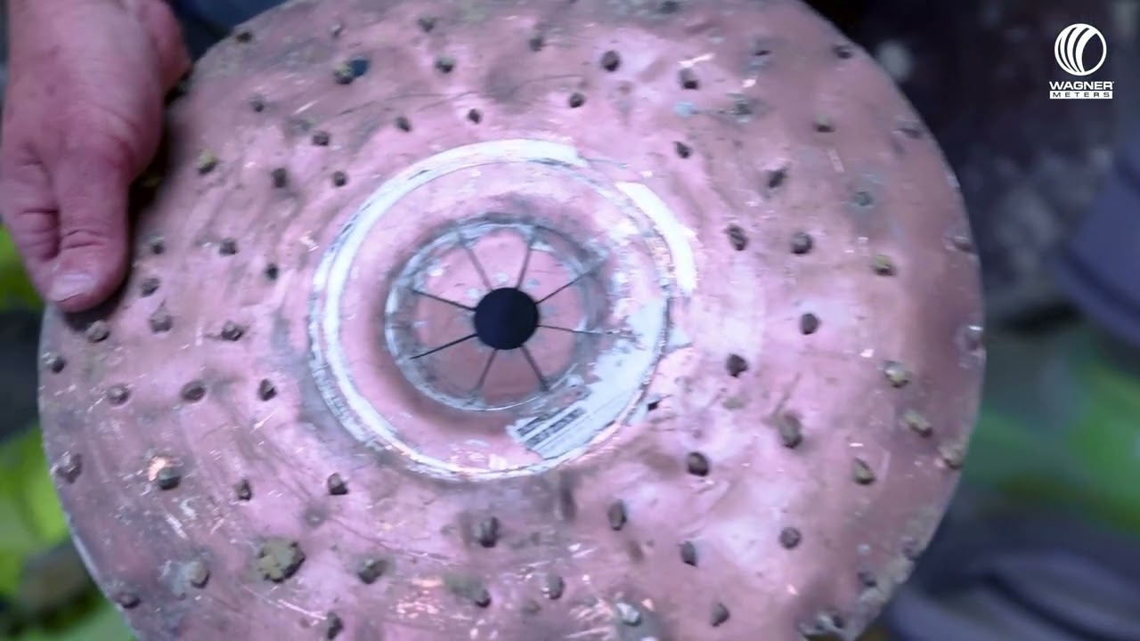 Don’t Let Old Glue Ruin Your Floor Install