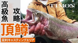 【TIMON エリアトラウト】超美味！！高級魚 頂鱒（いただきます）の攻略法 / 矢島俊介、石川文菜