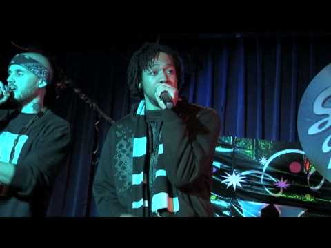 Frosted Lights Highlights