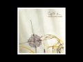 Capitol K -- Janome Home