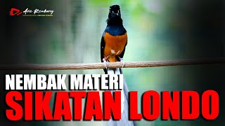 Download lagu MURAI GACOR TEMBAKAN SIKATAN LONDO FASIH BENGET GAYA FIGHTER ISIAN RAPET MEWAH mp3 Download lagu MURAI GACOR TEMBAKAN SIKATAN LONDO FASIH BENGET GAYA FIGHTER ISIAN RAPET MEWAH mp3