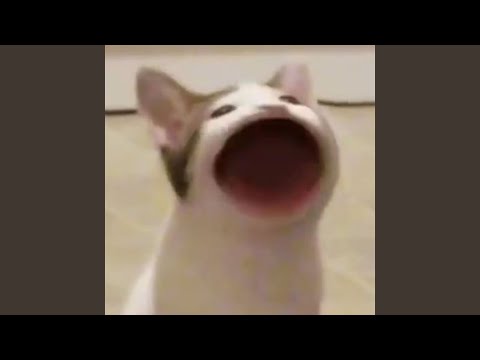 Coconut Mall (Mario Kart Wii Bitcrushed Old Speaker Lofi Mix)