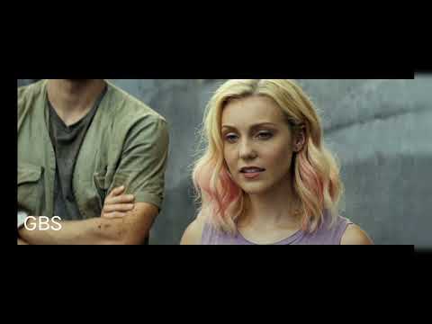 George {Gorilla} Showing middle finger |Full HD 4K|