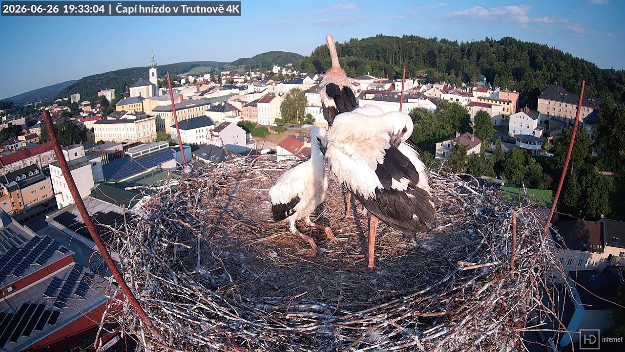 Live webcam view of Stork Nest Above Trutnov