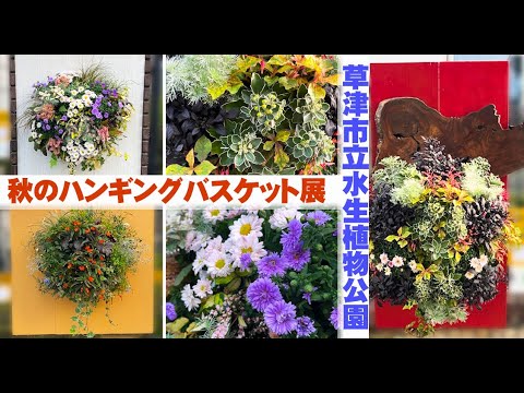 idées-piscine-de-jardin-rectangulaires-chaises-longues