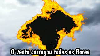 Roberto Carlos - As Flores Do Jardim De Nossa Casa ( letra)