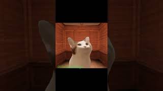 When the elevator music is good (Roblox Doors)