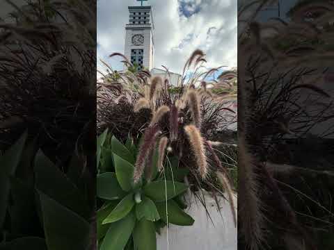 Um cenário de tirar o fôlego em Gonçalves #minasgerais #gonçalvesmg