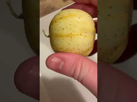 Lemon Cucumber: A Rare and Delicious Garden Treat