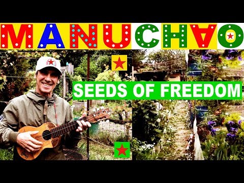 Manu Chao: SEEDS OF FREEDOM