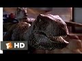 Jurassic Park (9/10) Movie CLIP - Raptors in the ...