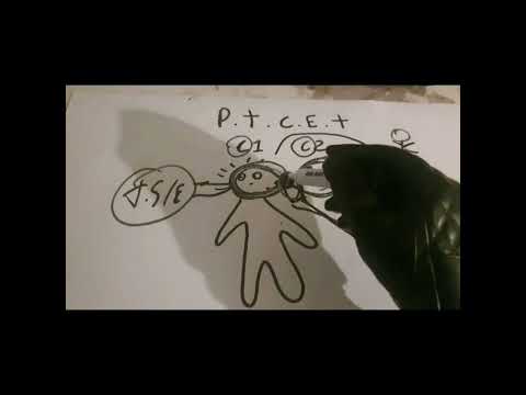 ParvaTV vídeo 02