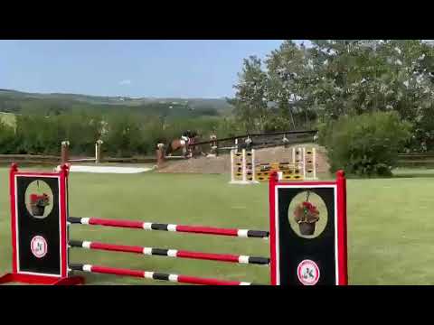 Kalou Du Bourbecq 1.20m derby