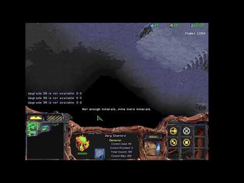 StarCraft 1.16.1 - Rekt'Son's Wish [Custom Map]
