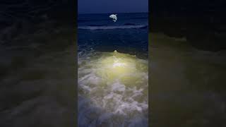 Be afraid of the dark 🦈