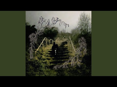 Video thumbnail for St Magdalene’s Wood