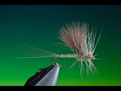 How to tie Thorax Dun pattern