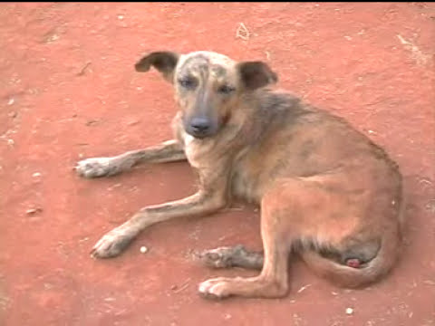 vuusya ungu - Muoi (Official Video)