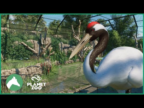 Red-Crowned Crane Aviary | Elm Hill City Zoo | Planet Zoo