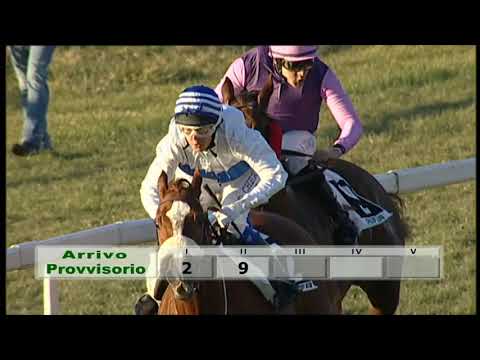 2020-01-12 Corsa 4 Metri 2000 Premio Domenico Arnaldi