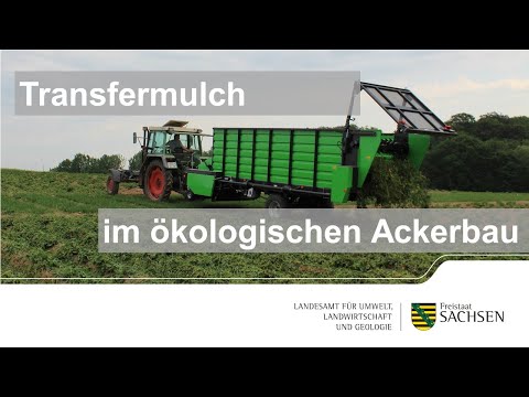 Transfermulch im ökologischen Ackerbau