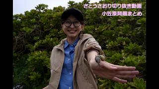 さとうさおり切り抜き動画　小笠原問題まとめ