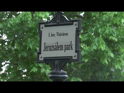 Izrael melletti kiállás és szolidaritás jegyében tartott flashmob jellegű összejövetelt a MAZSIHISZ