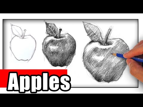 How to Draw an Apple It s Important