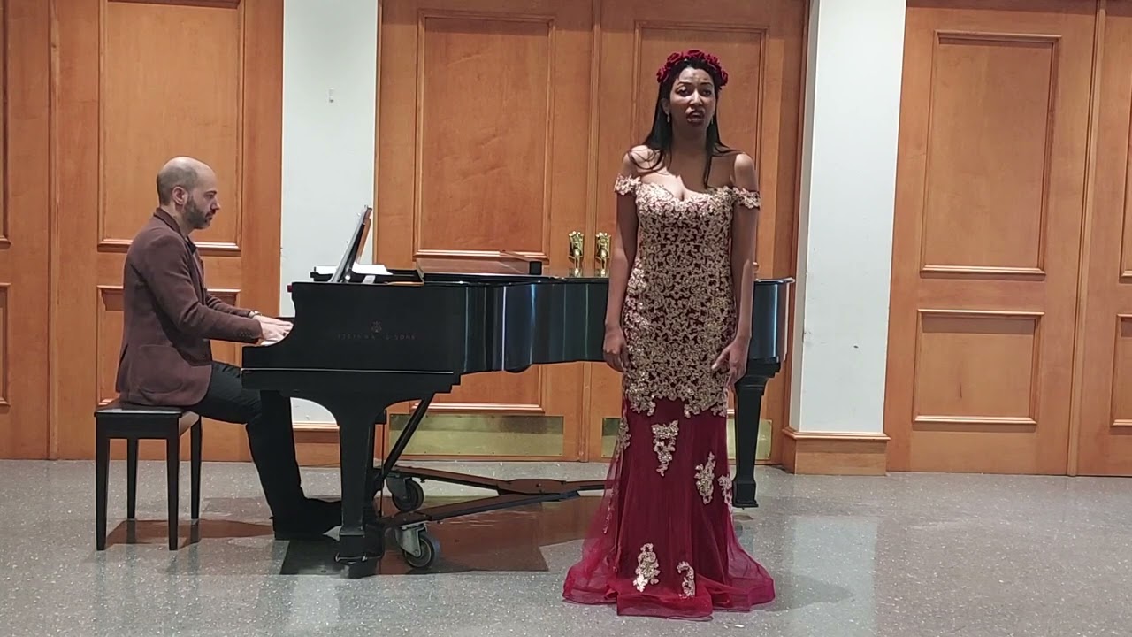 Promotional video thumbnail 5 for Professional Singer