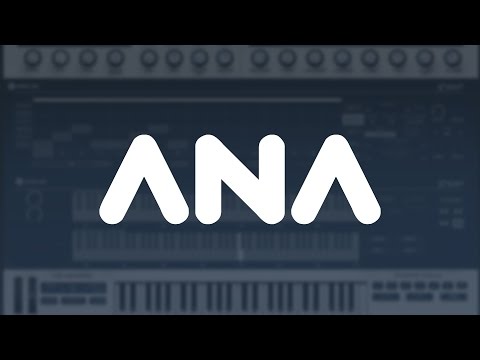 ANA 2 - Introducing Chord Memory Device