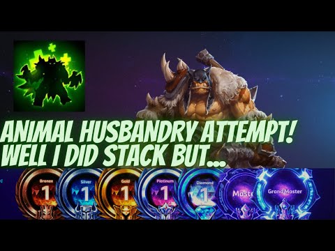Rexxar Boars - Animal Husbandry! Well I stacked, but... - B2GM Season 5 (Masters)