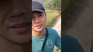 Download lagu KAMPUNG BERSEJARAH DAN KAMPUNG PERTAMA ADA MASJID JUMATAN DI CIPONGKOR #shots #budimannk mp3