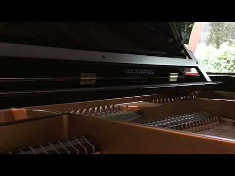 Chrono Cross - Chronomantic - Sightreading Exercise