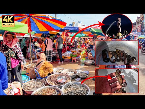 ផ្សារសាមគ្គីទីរួមខេត្តកំពត   Daily Life at Samaki Market, Kampot | Fresh Seafood Everywhere!